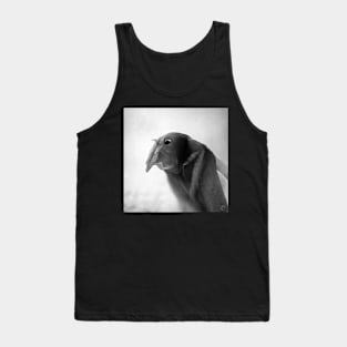 Grooved Billed Ani Tank Top